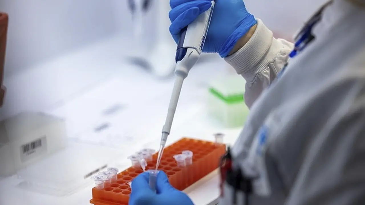 test-2-eris-covid-hastalik-usakolay