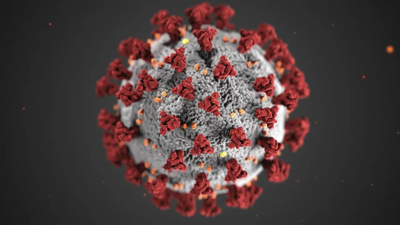 virus-olu-pirola-covid-usakolay-1