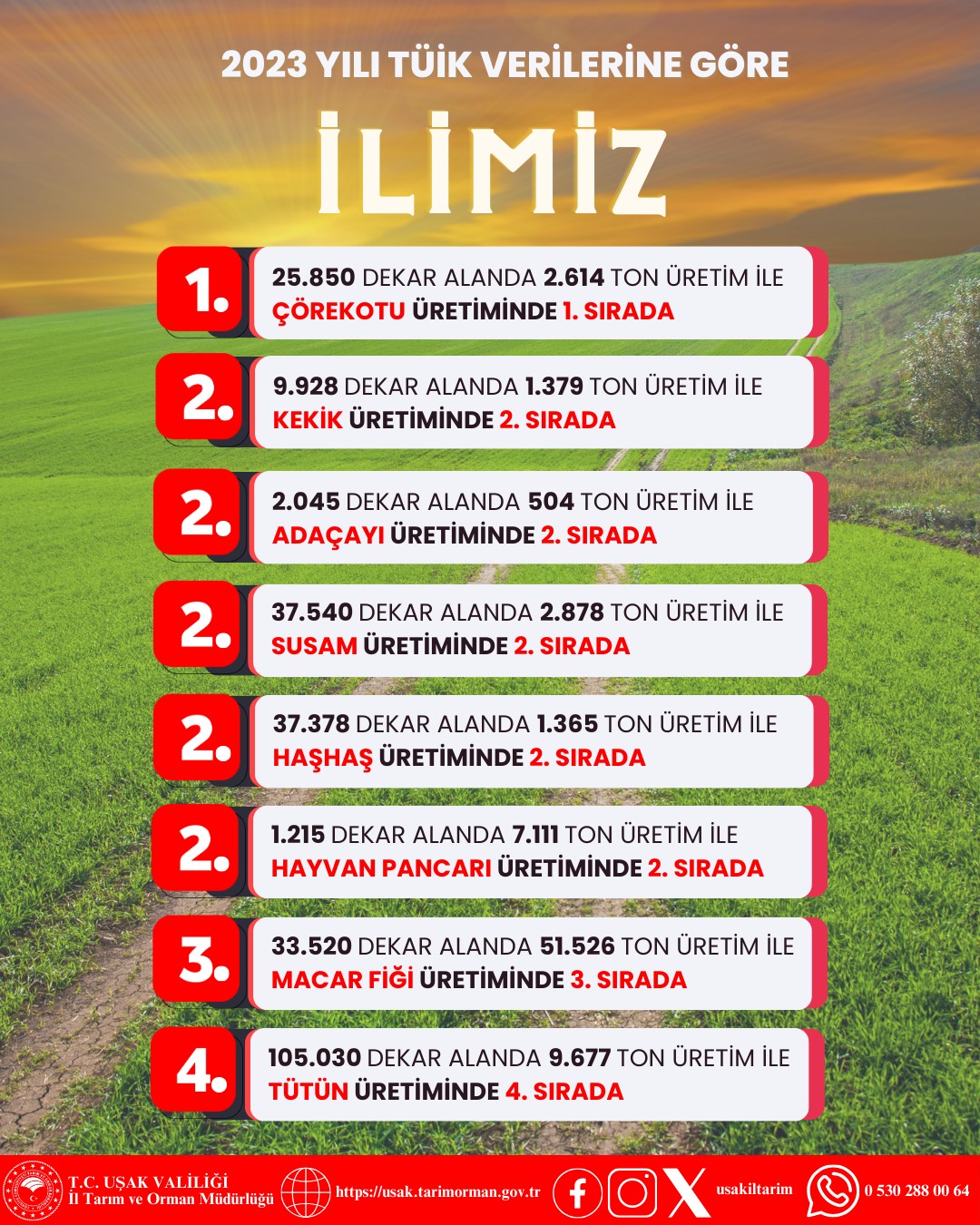 Çörek Otu Uşak