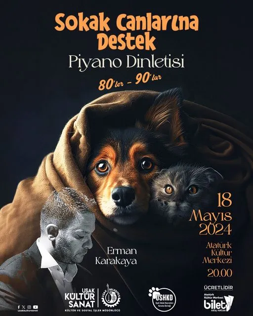 Piyano Sokak