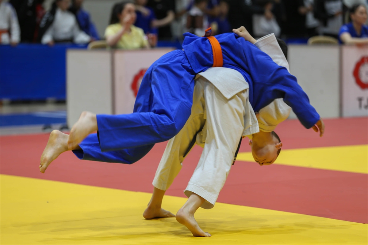 Judo2