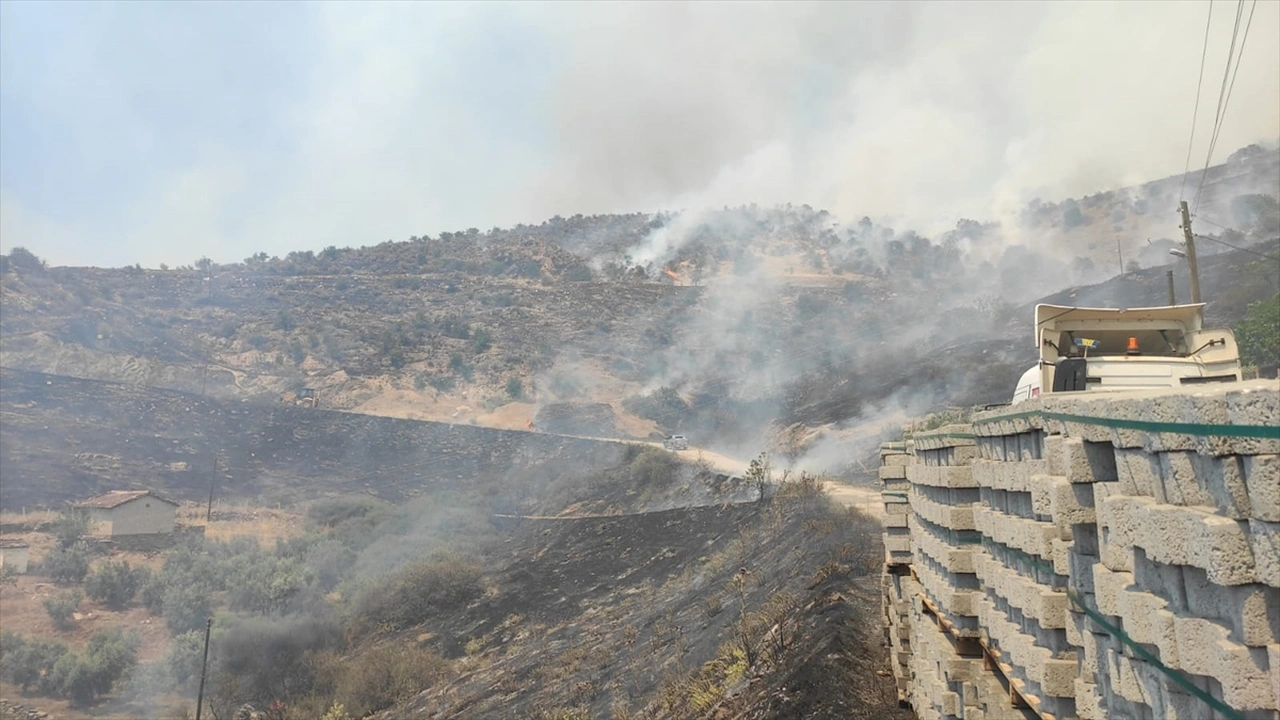 Manisa Uşak Yangın 3