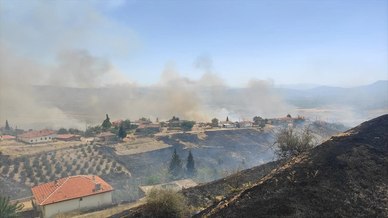 Manisa Uşak Yangın 4