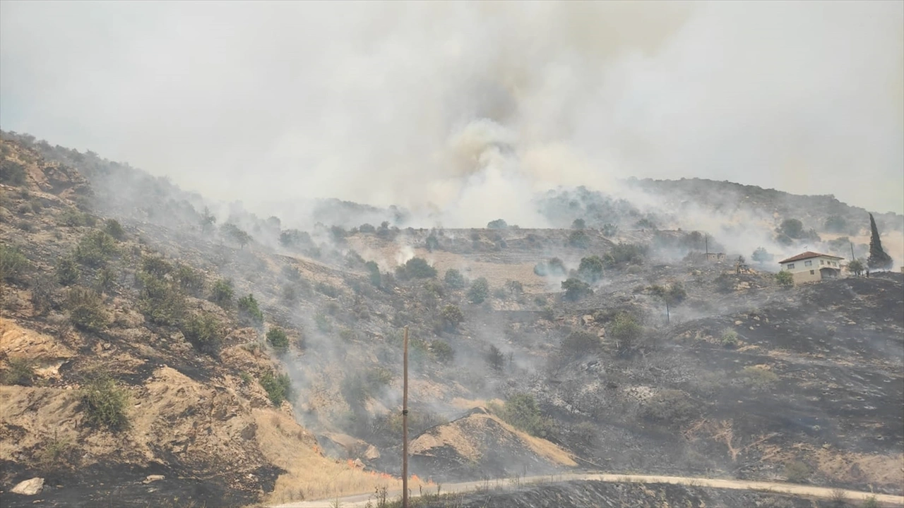 Manisa Uşak Yangın 6