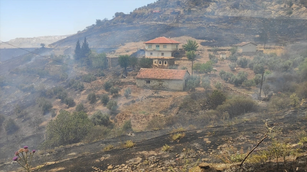 Manisa Uşak Yangın