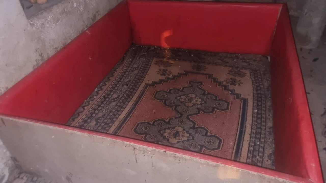 Uşak’ta Horoz Dövüşü Operasyonu 9 Hint Horozu Kurtarıldı 2