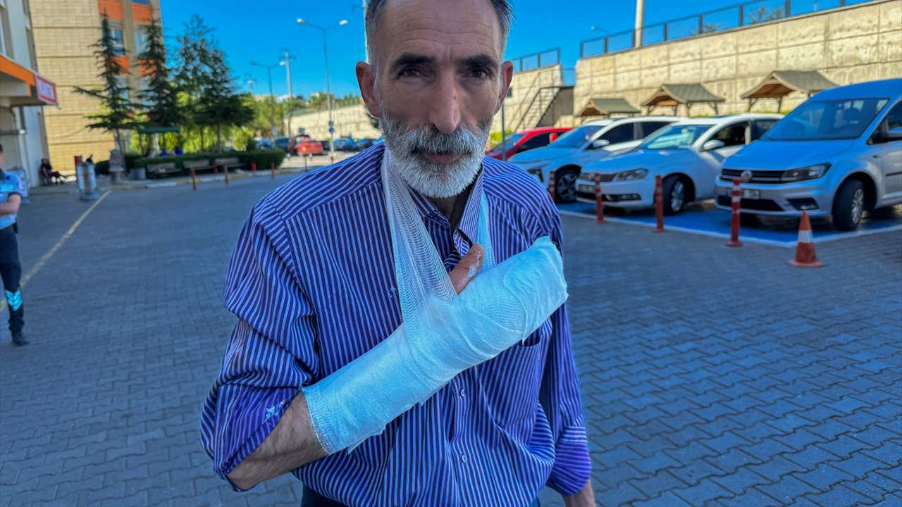 Uşakta Acemi Kasaplar Hastanelik Oldu