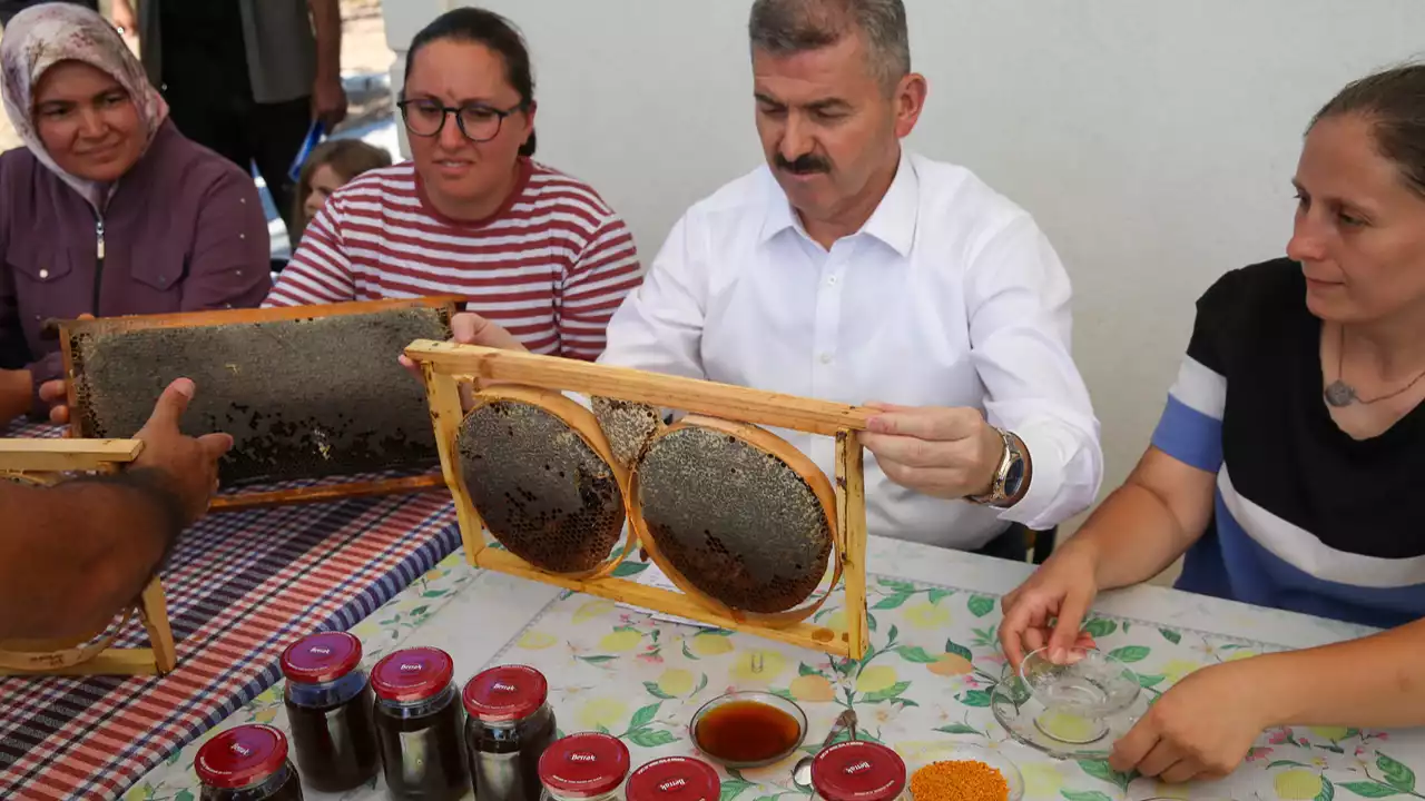 Aricilik Bal Hasar Usak 9