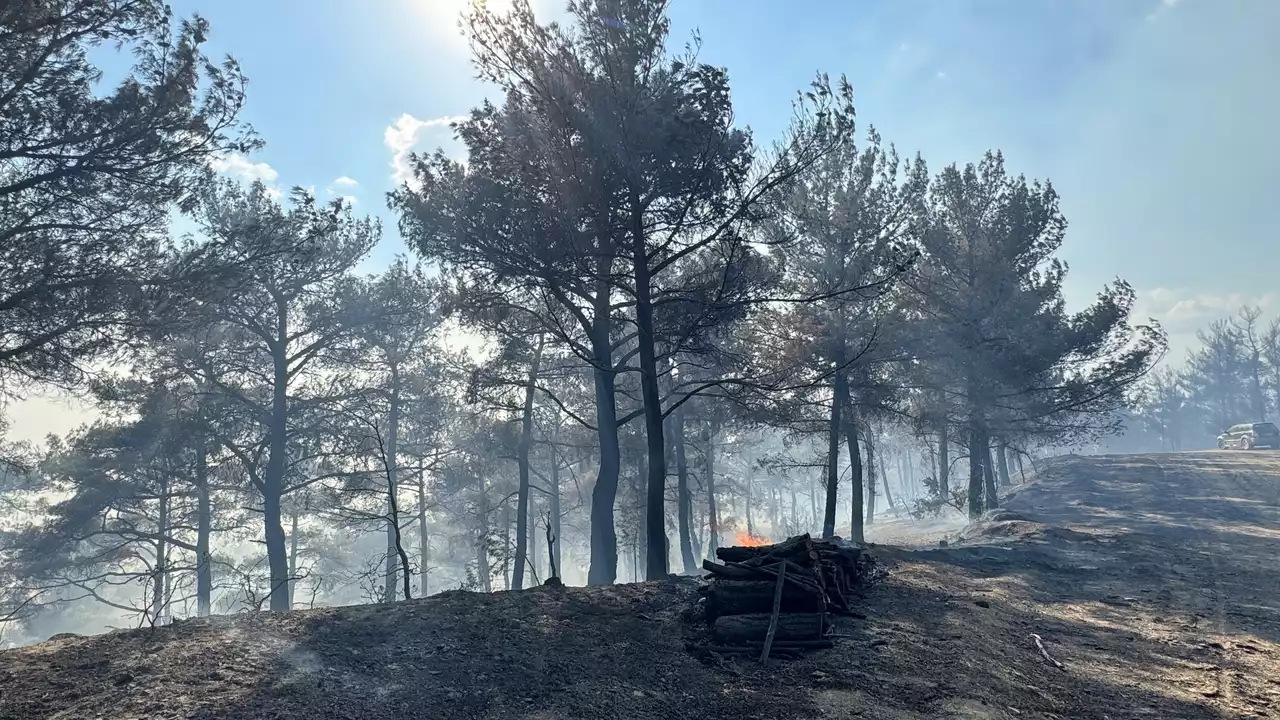 Muratdagi Yangin Usak Gediz 4 Min
