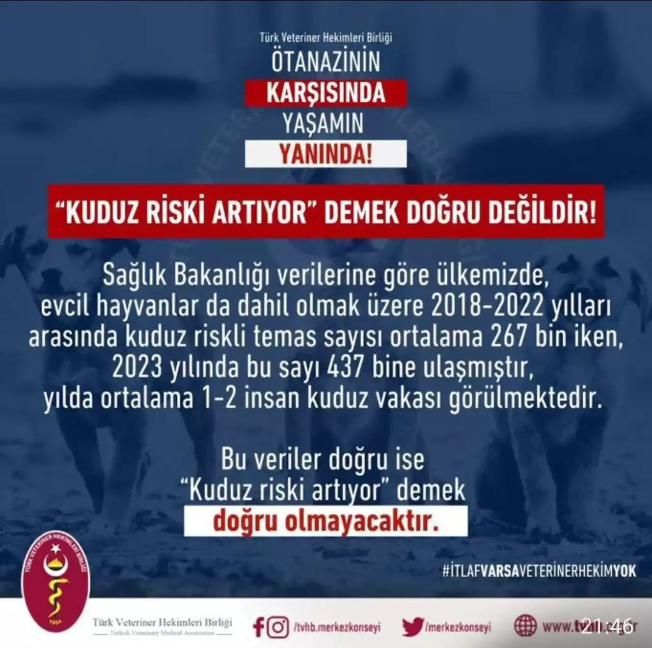 Veterinerlik2 Min