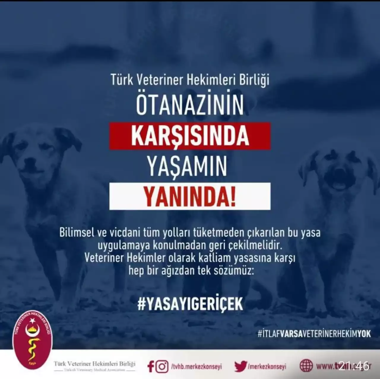 Veterinerlik3 Min