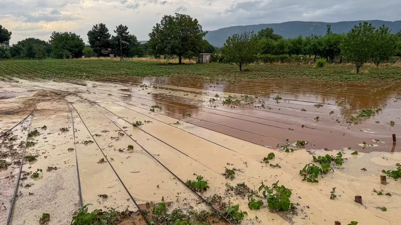 Uşak, Banaz, Sivaslı'da Dolu 3