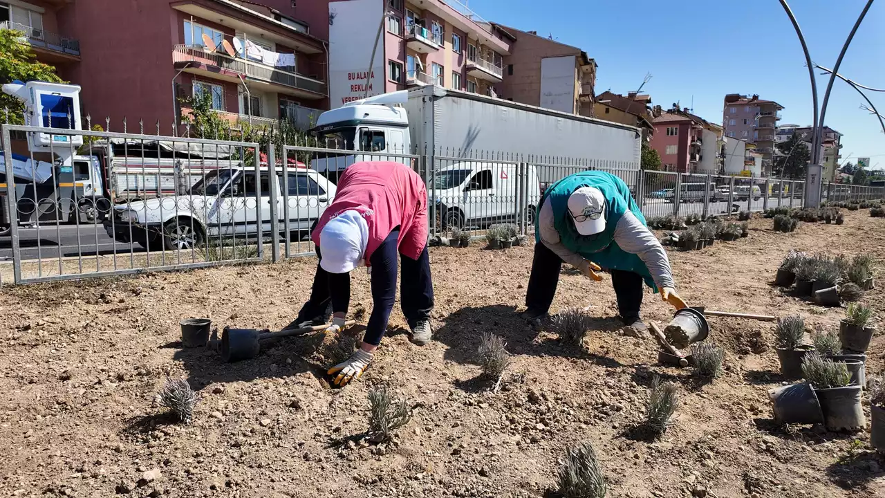 Usak Lavanta Bahcesi Min