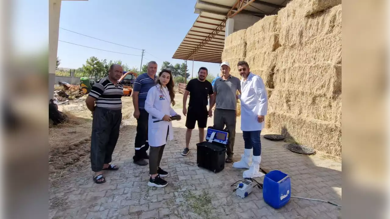 Damizlik Sigir Toprak Analizi Min