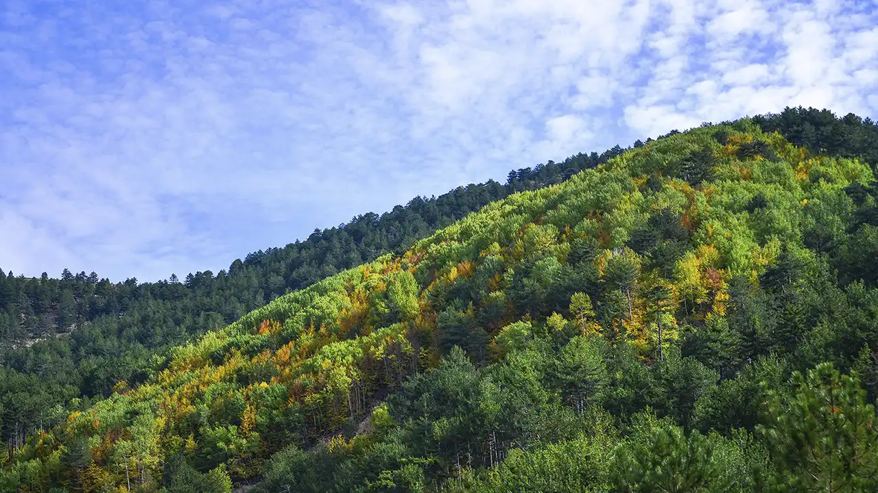 Murat Dağı Sonbahar 1