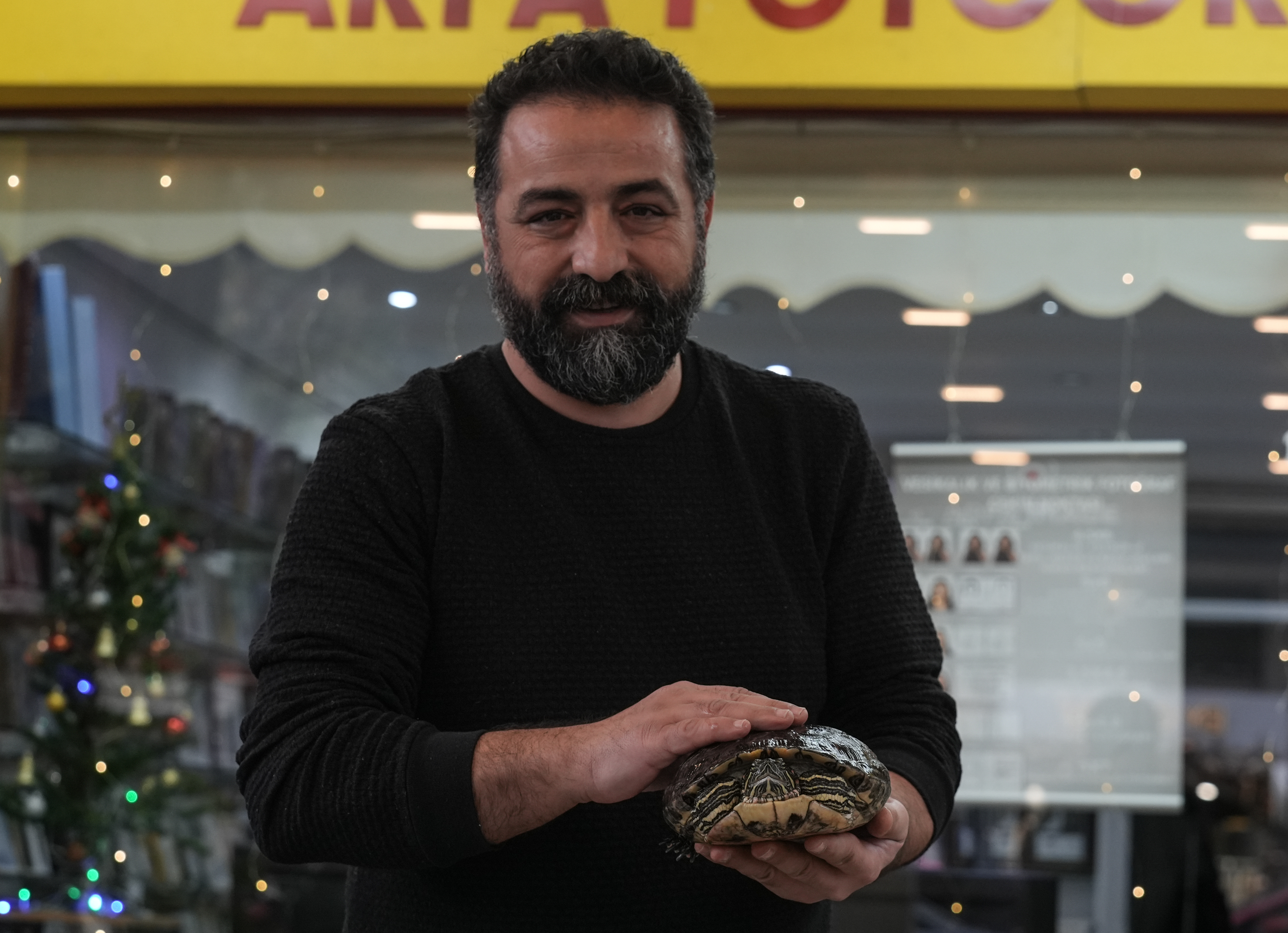 Havuz Kaplumbağa2