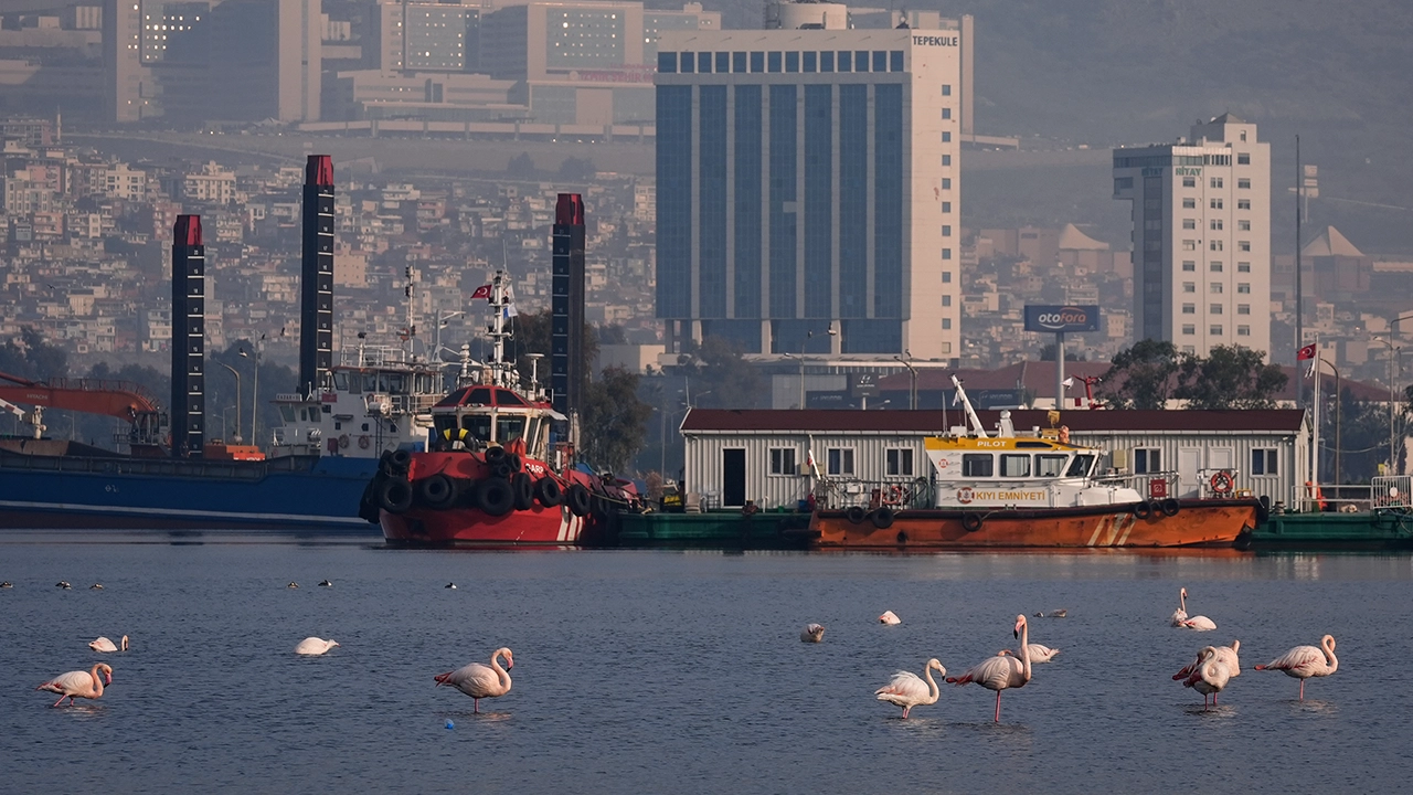 Flamingo Izmir Körfez3