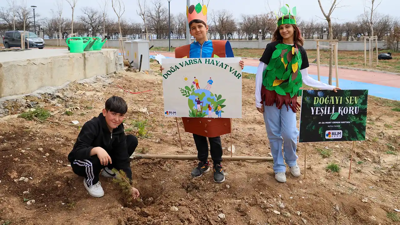 Cocuk Kent Fidan Dikim4