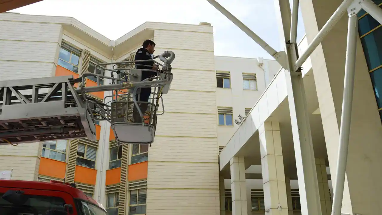 Hastane Yaralı Kus Kurtarılma Usak1