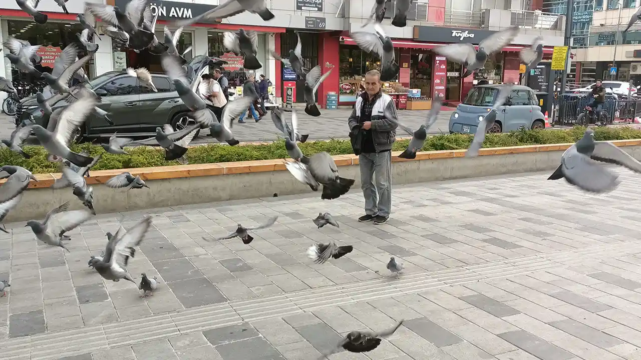Fevzi Ünlü Usak Güvercin Yem1