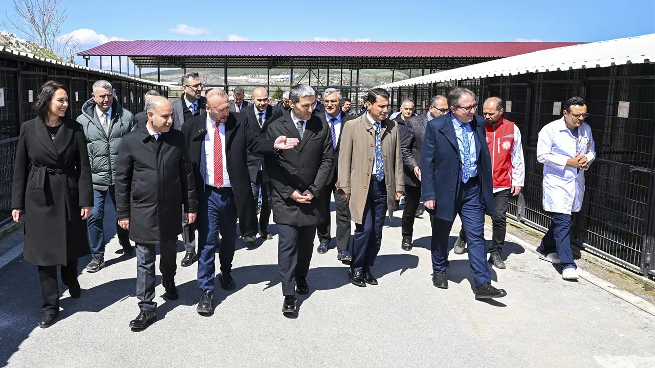Bakan Yardımcısı Aktaş, Uşak’ta Hayvan Barınaklarını Denetledi! 1