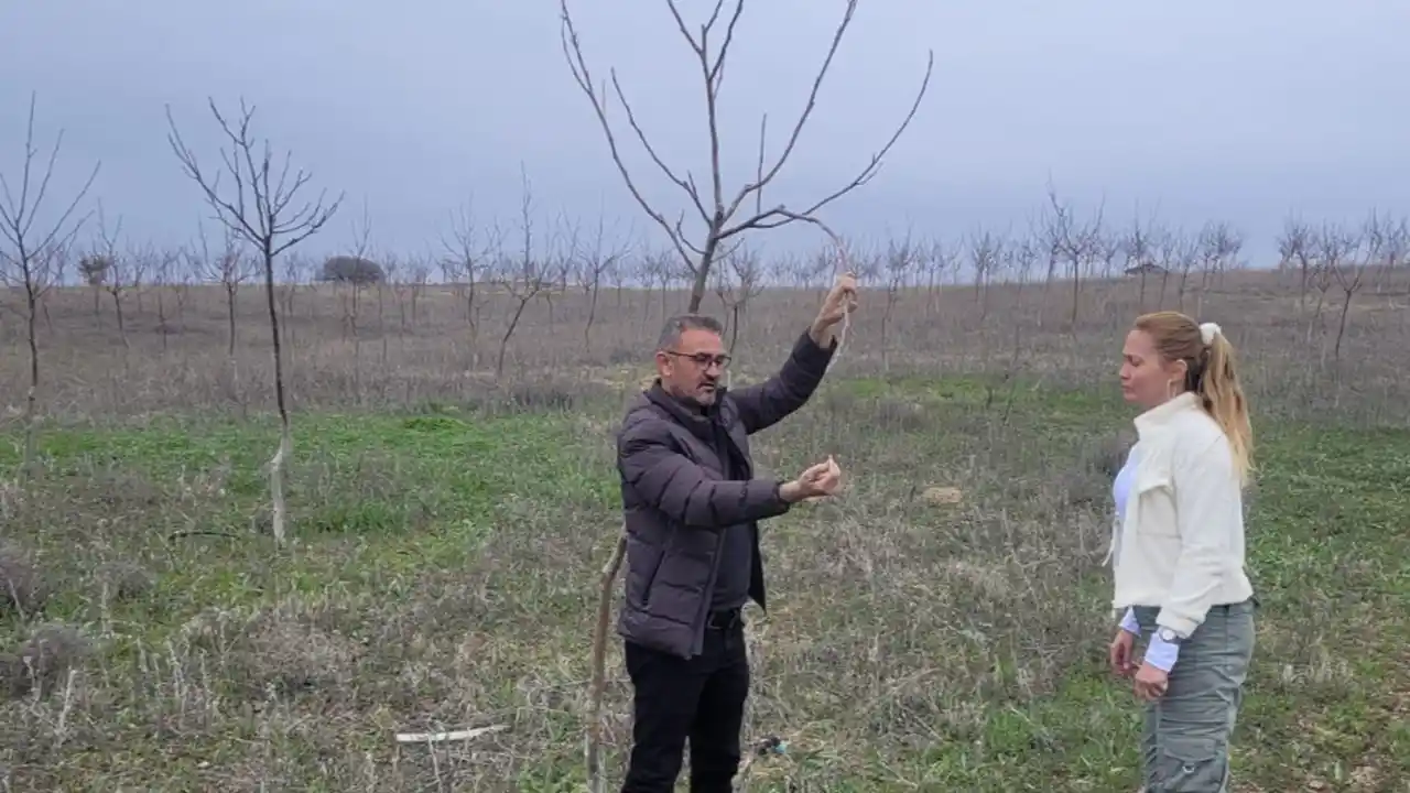 Usak Ziraidon Zarar2