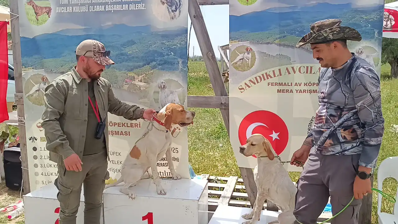 Av Köpeği Yarışma Uşak1